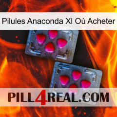 Pilules Anaconda Xl Où Acheter 14